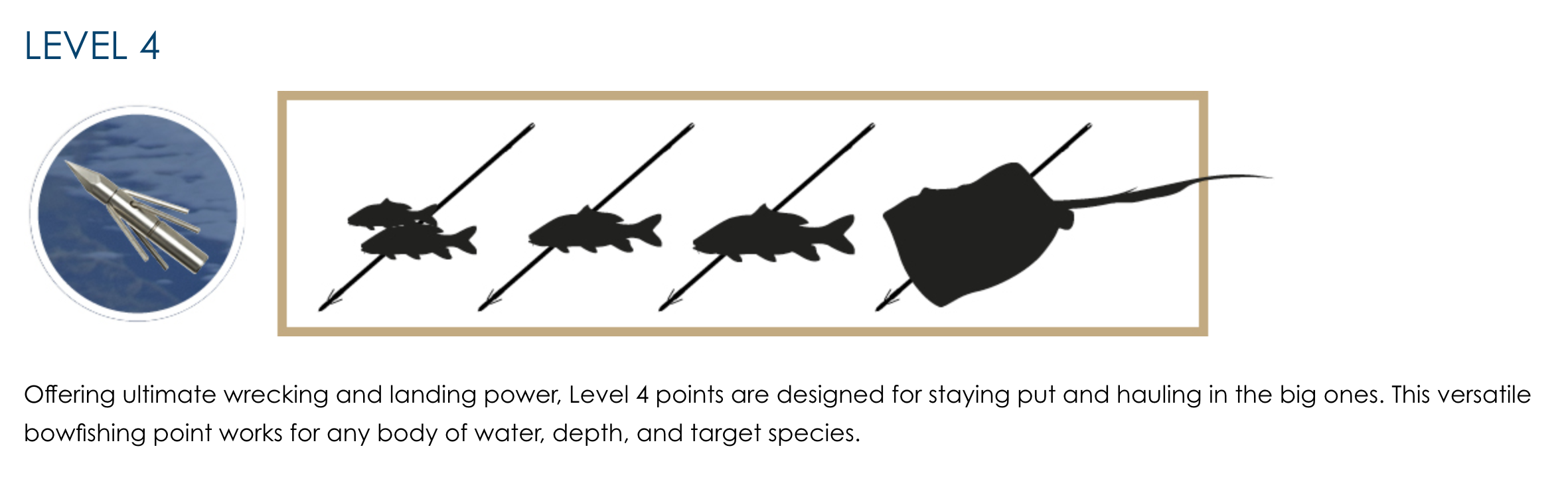 How to Choose the Right Bowfishing Point FinFinder