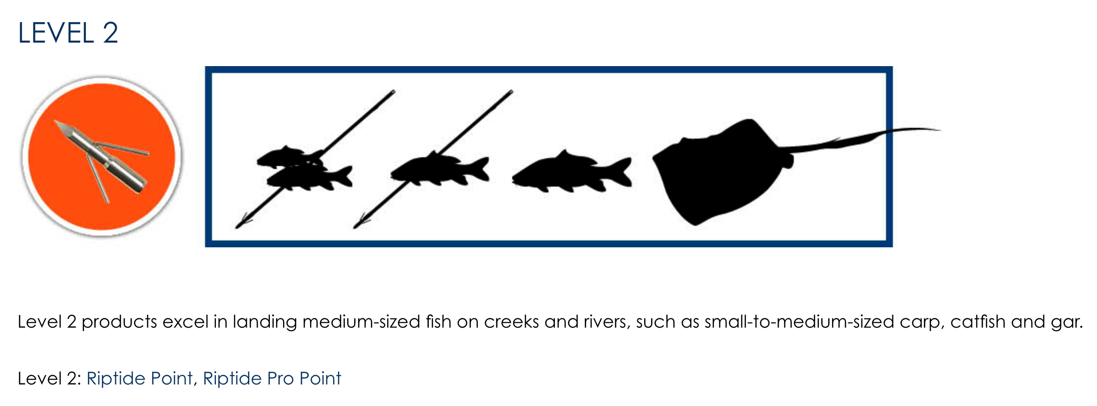 Fin-Finder Level 2 Bowfishing Point, Bowfishing Point