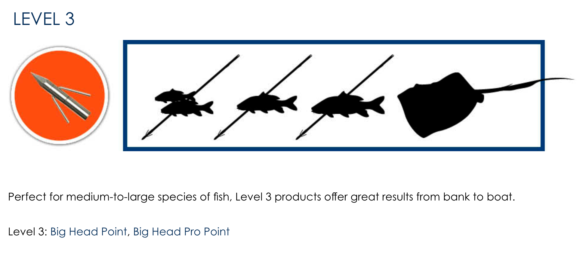 Fin-Finder Level 3 Bowfishing Point, Bowfishing Point