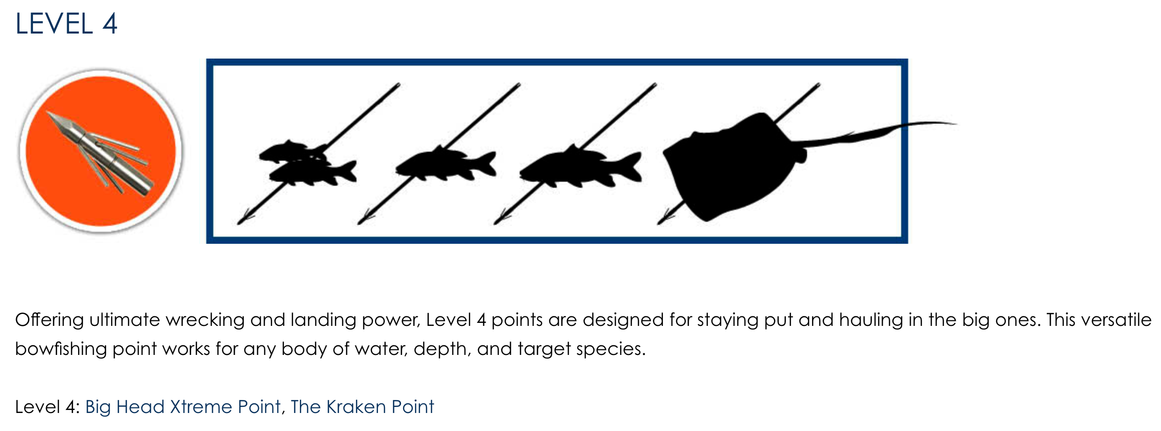 Fin-Finder Level 4 Bowfishing Point, Bowfishing Point