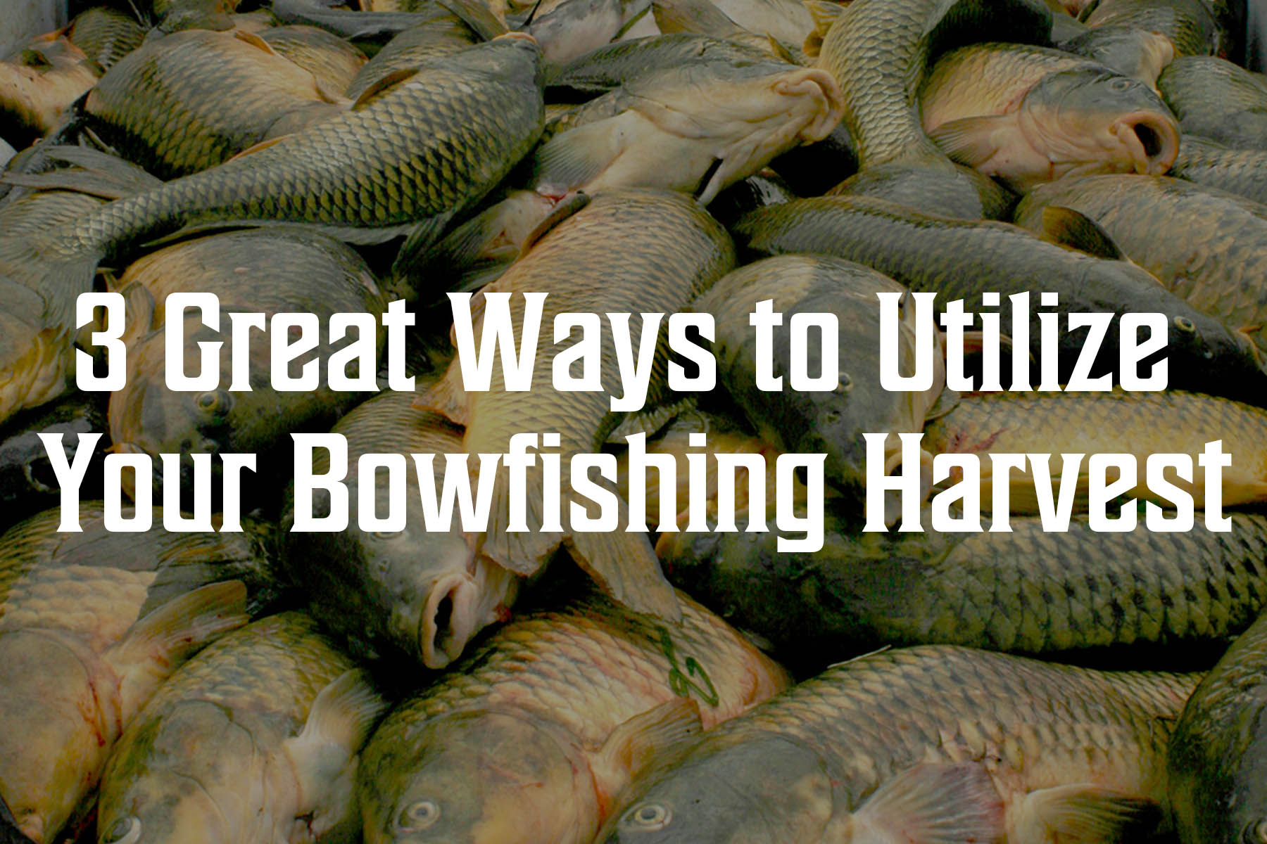 3 Great Ways to Utilize Your Bowfishing Harvest